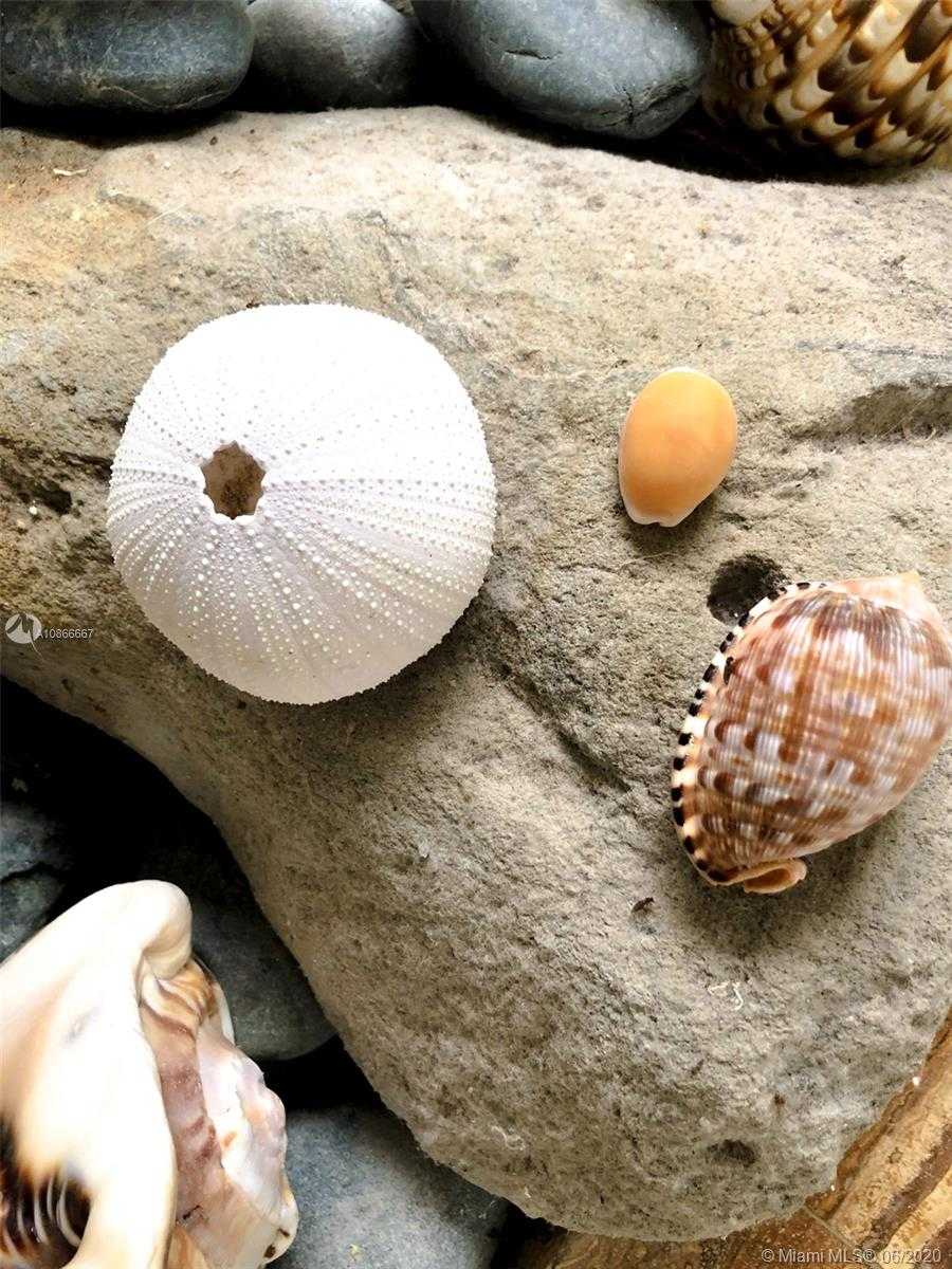 Small Object Image