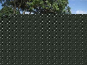 Small Image of 4508 NORTH WEST 47TH ST, Tamarac Number 11
