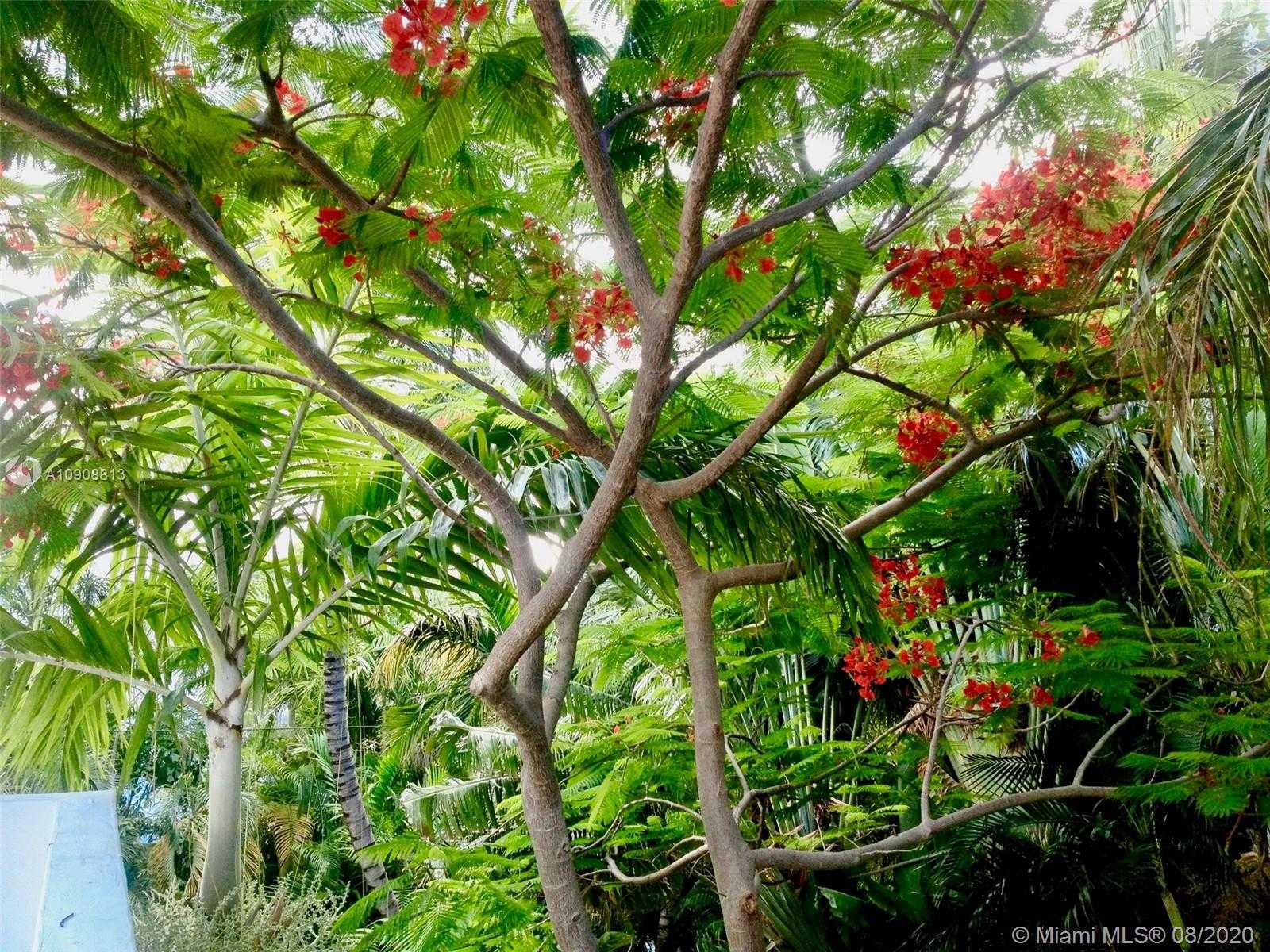 Small Image of 385 RIDGEWOOD RD, Key Biscayne Number 57