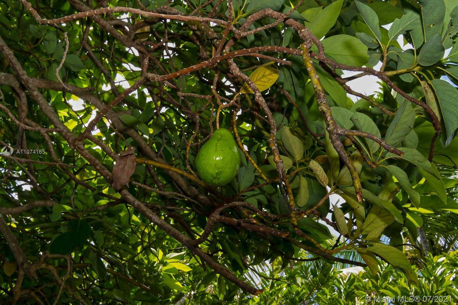 Small Image of 11007 GRIFFING BLVD, Biscayne Park Number 61
