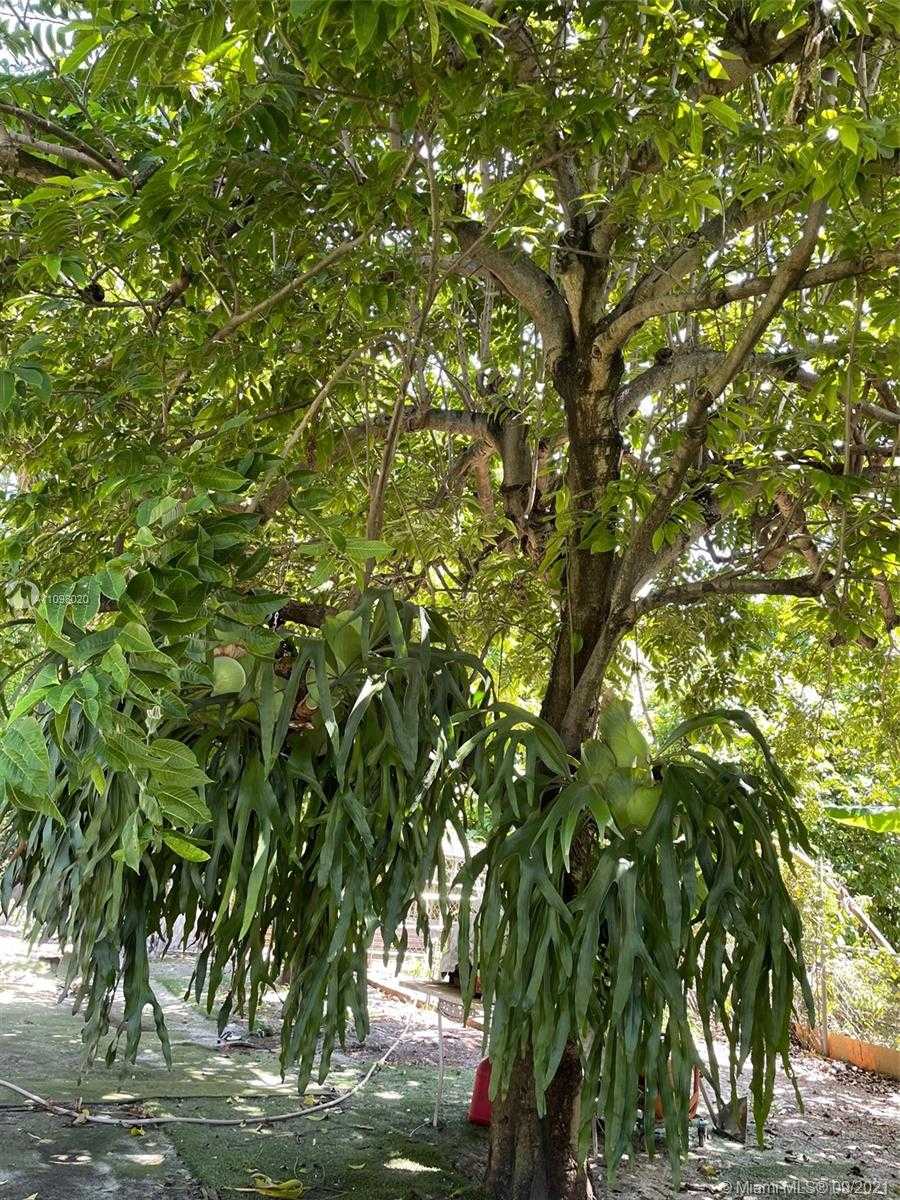 Small Image of 2933 NORTH WEST 16TH AVE, Miami Number 15
