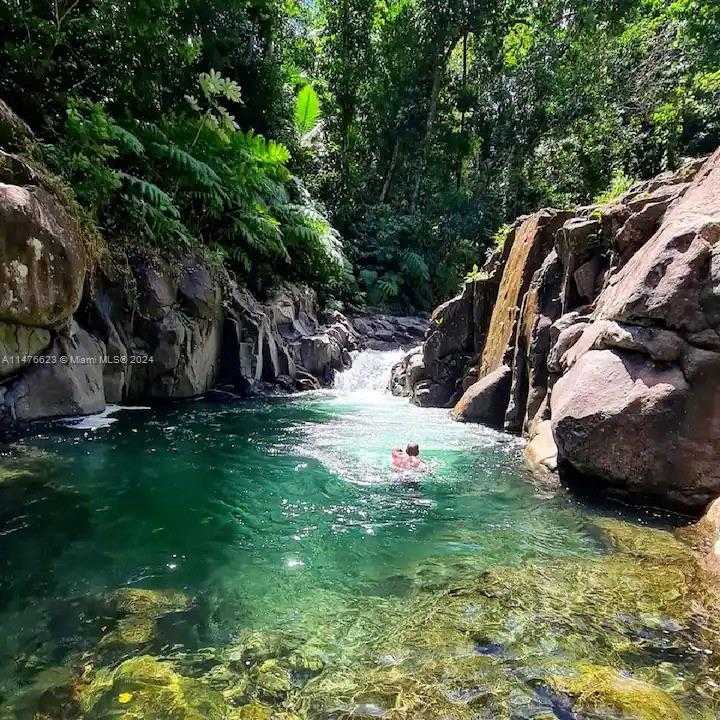 Small Image of CALIBISHE, DOMINICA, Out of City Number 12
