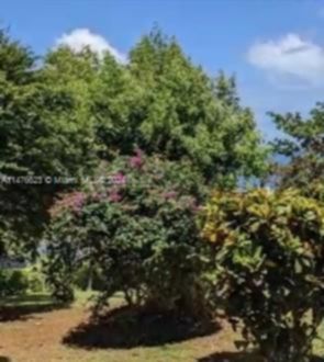 Small Image of CALIBISHE, DOMINICA, Out of City Number 16