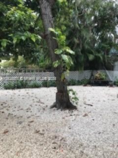 Small Image of 86 NORTH WEST 33RD ST, Miami Number 8