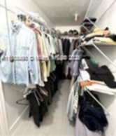 Small Image of Hollywood Number 12