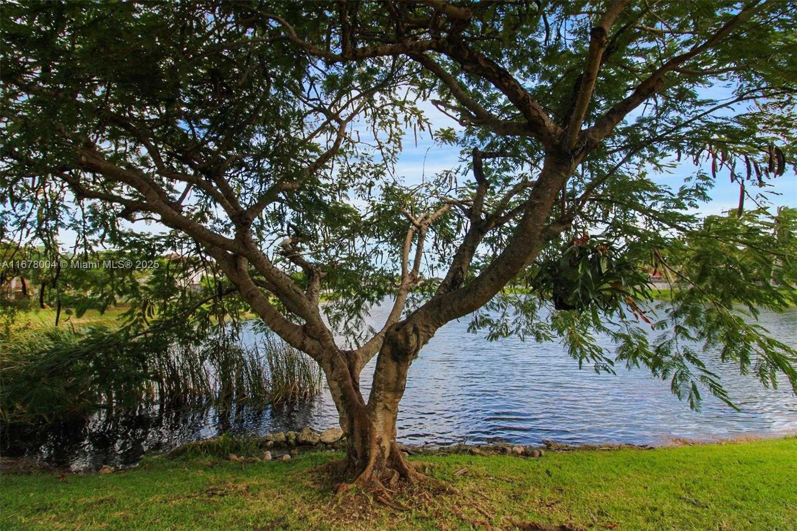 Small Image of 6641 SOUTH WEST 166TH CT, Miami Number 39