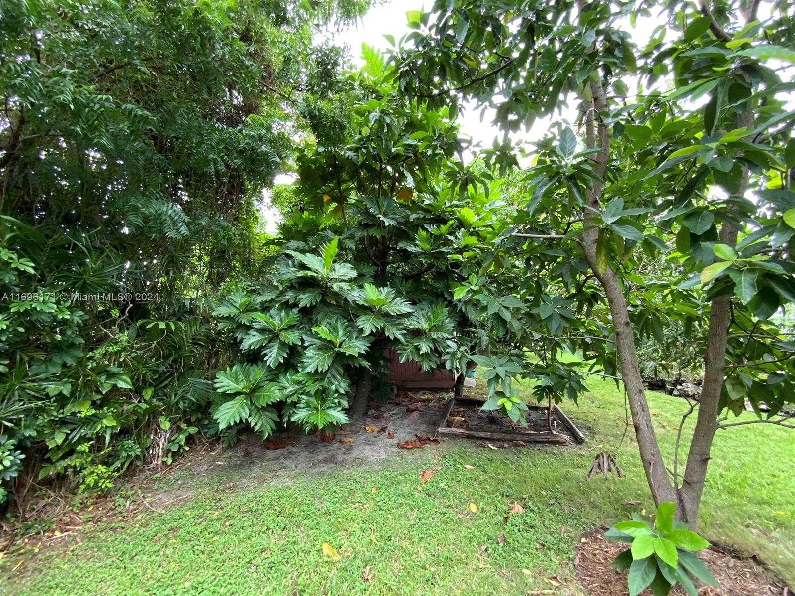Small Image of 9221 SOUTH WEST 165TH ST, Palmetto Bay Number 50