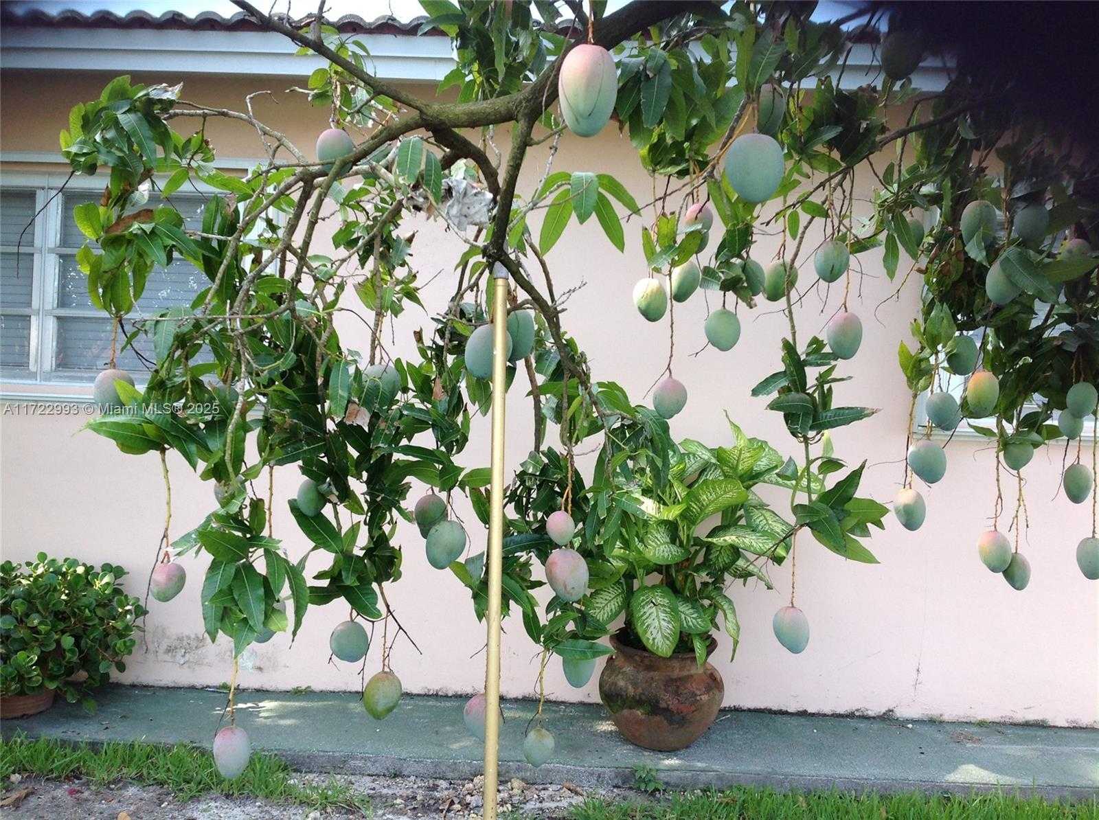 Small Image of 3740 WEST 5TH CT, Hialeah Number 16