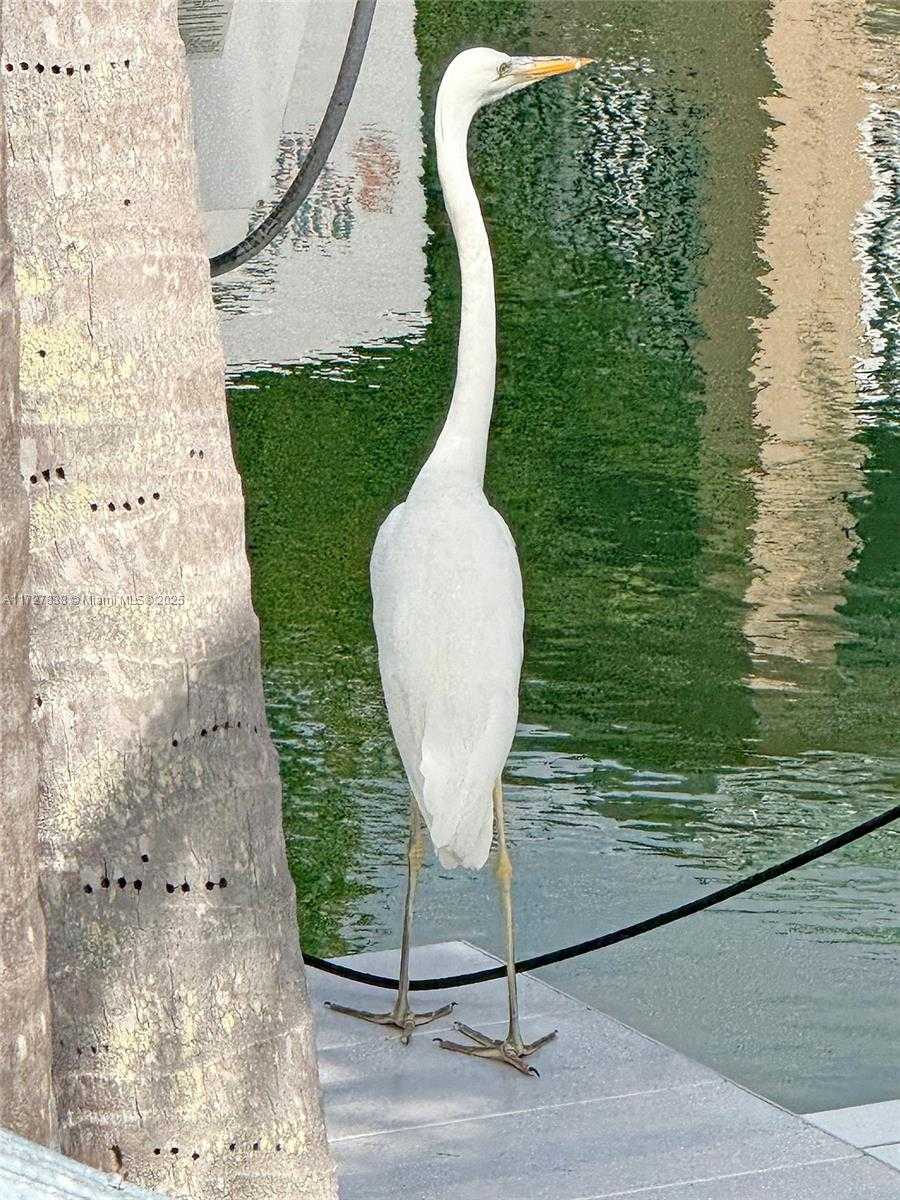 Small Image of 28 CENTER LN, Key Largo Number 80