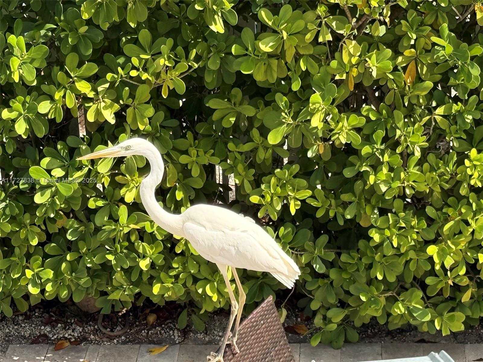 Small Image of 28 CENTER LN, Key Largo Number 91