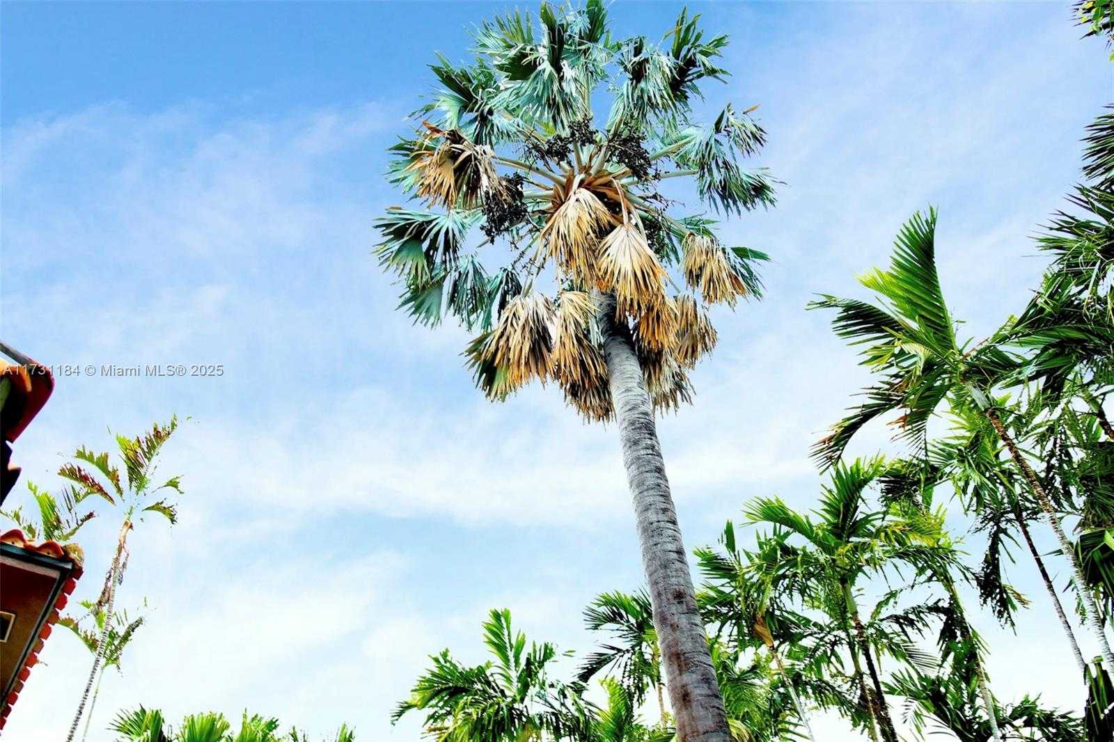 Small Image of 6121 LA GORCE DR, Miami Beach Number 30