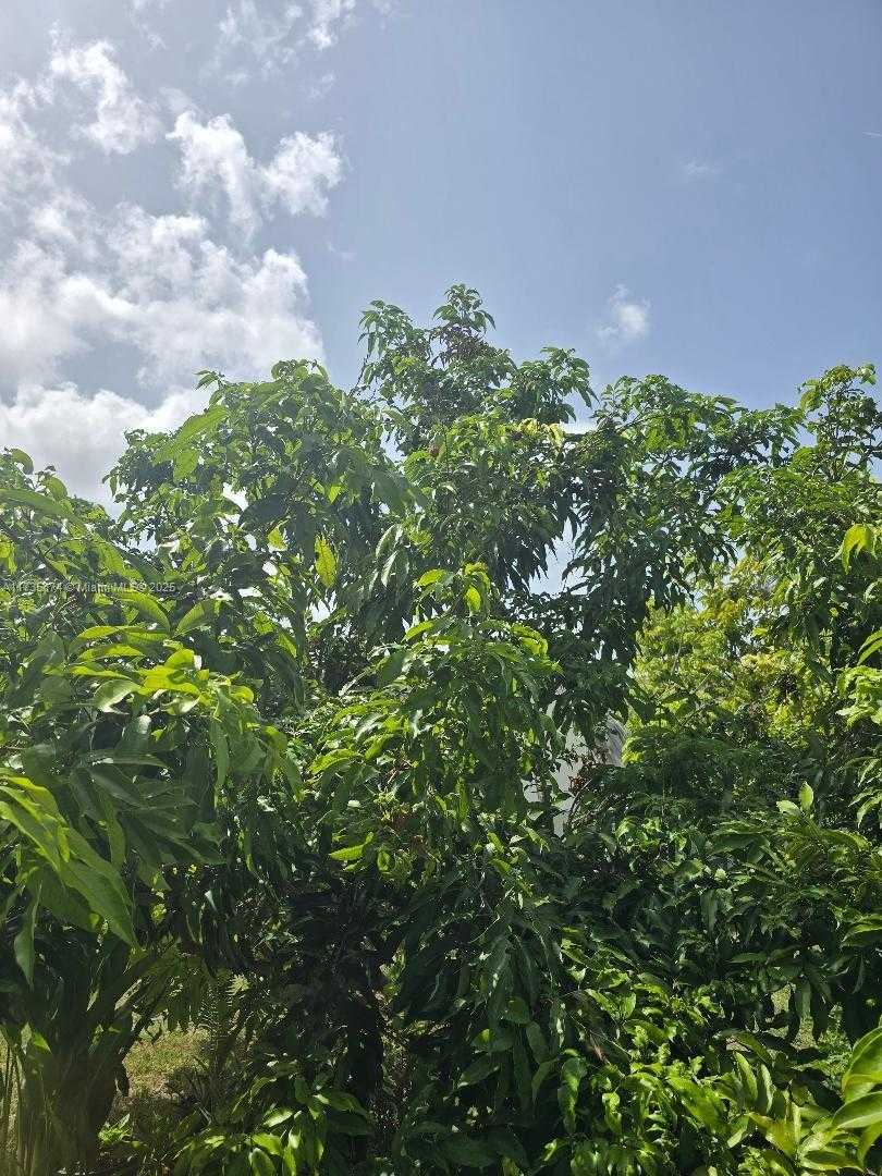 Small Image of 15221 SOUTH WEST 308 ST, Homestead Number 22