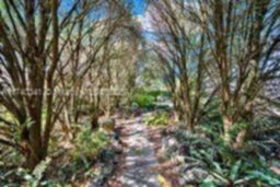 Small Image of 11624 SOUTH WEST 93RD ST, Miami Number 60