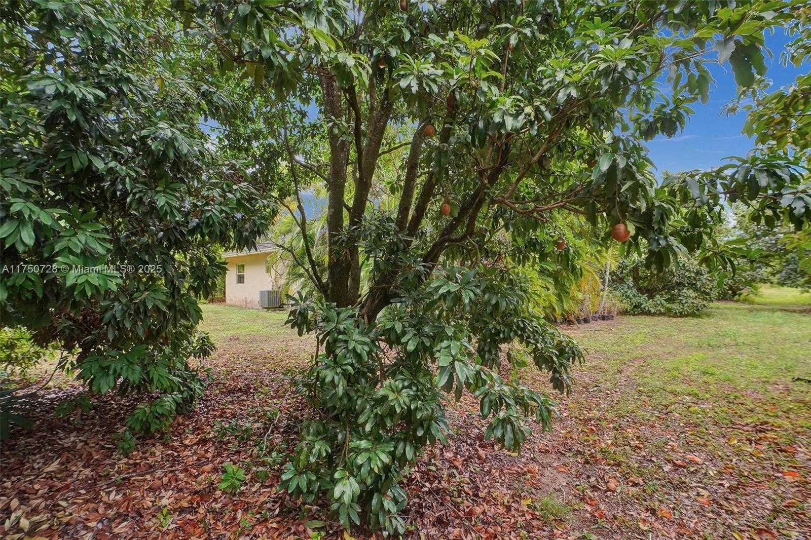 Small Image of 23451 SOUTH WEST 162ND AVE, Homestead Number 47