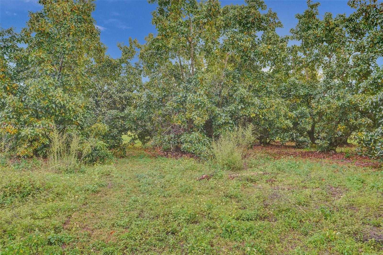 Small Image of 23451 SOUTH WEST 162ND AVE, Homestead Number 48