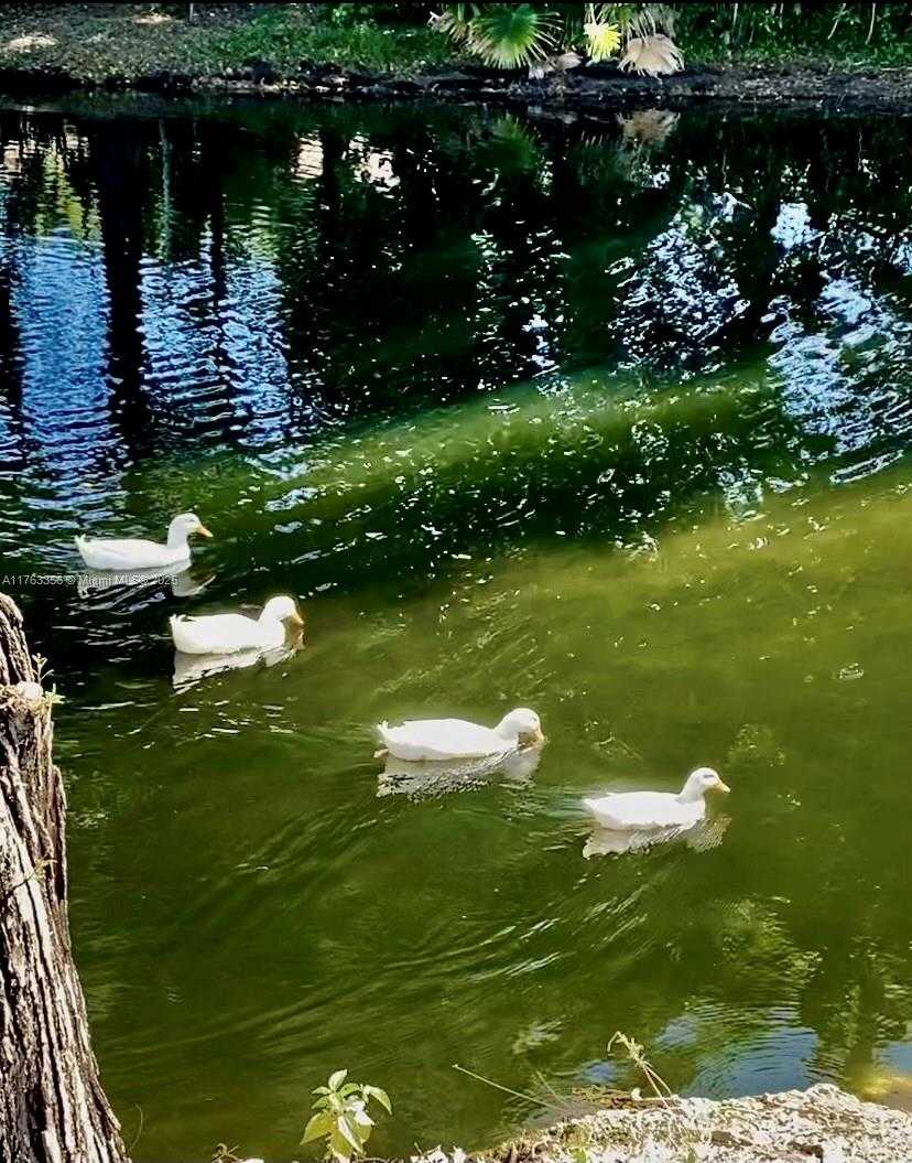 Imagen de Pequeño Objeto