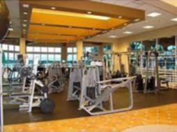 Small Image of 11244, Doral Number 37