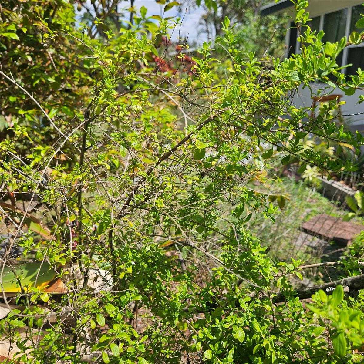 Small Image of 3950 SOUTH WEST 53RD AVE, Davie Number 45