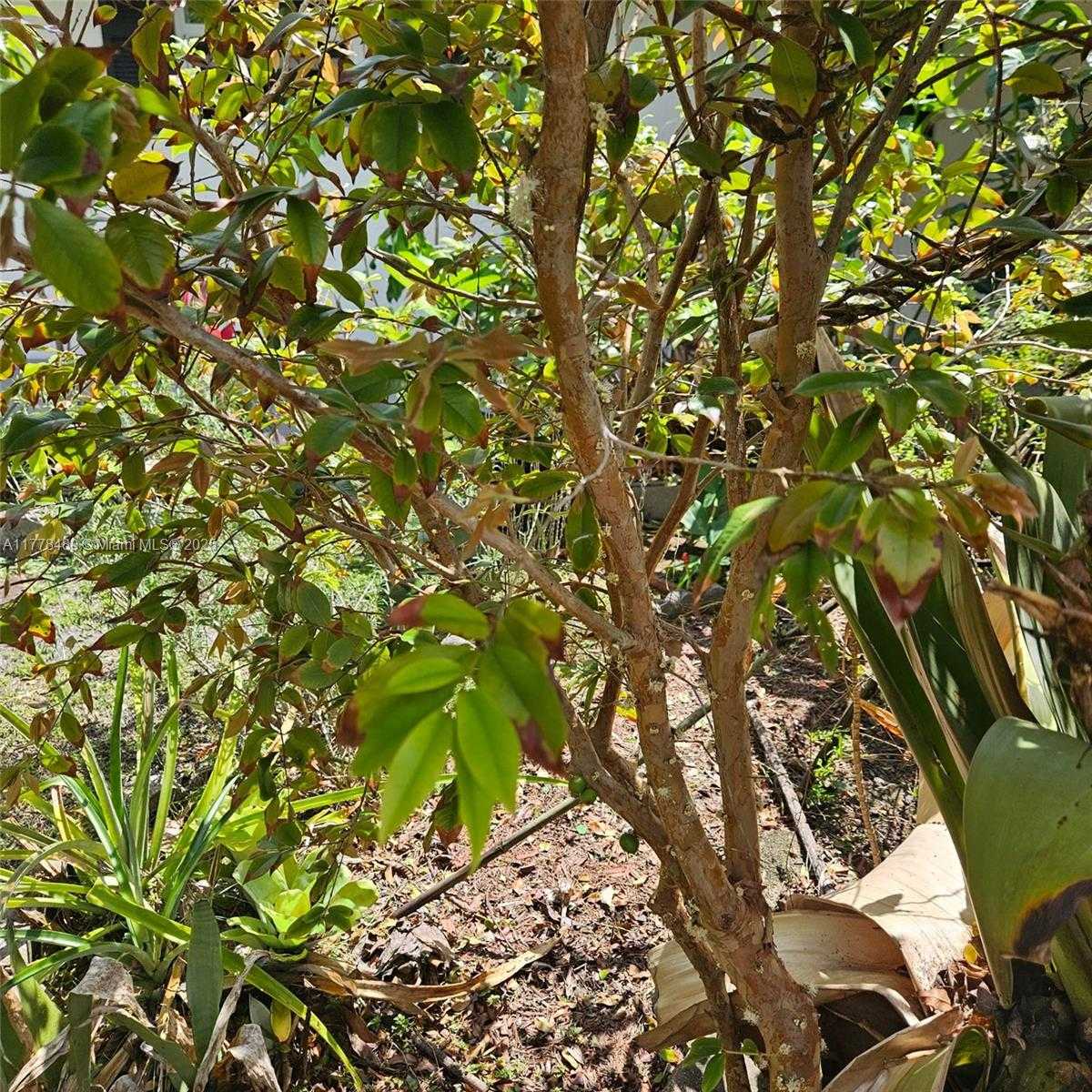 Small Image of 3950 SOUTH WEST 53RD AVE, Davie Number 47