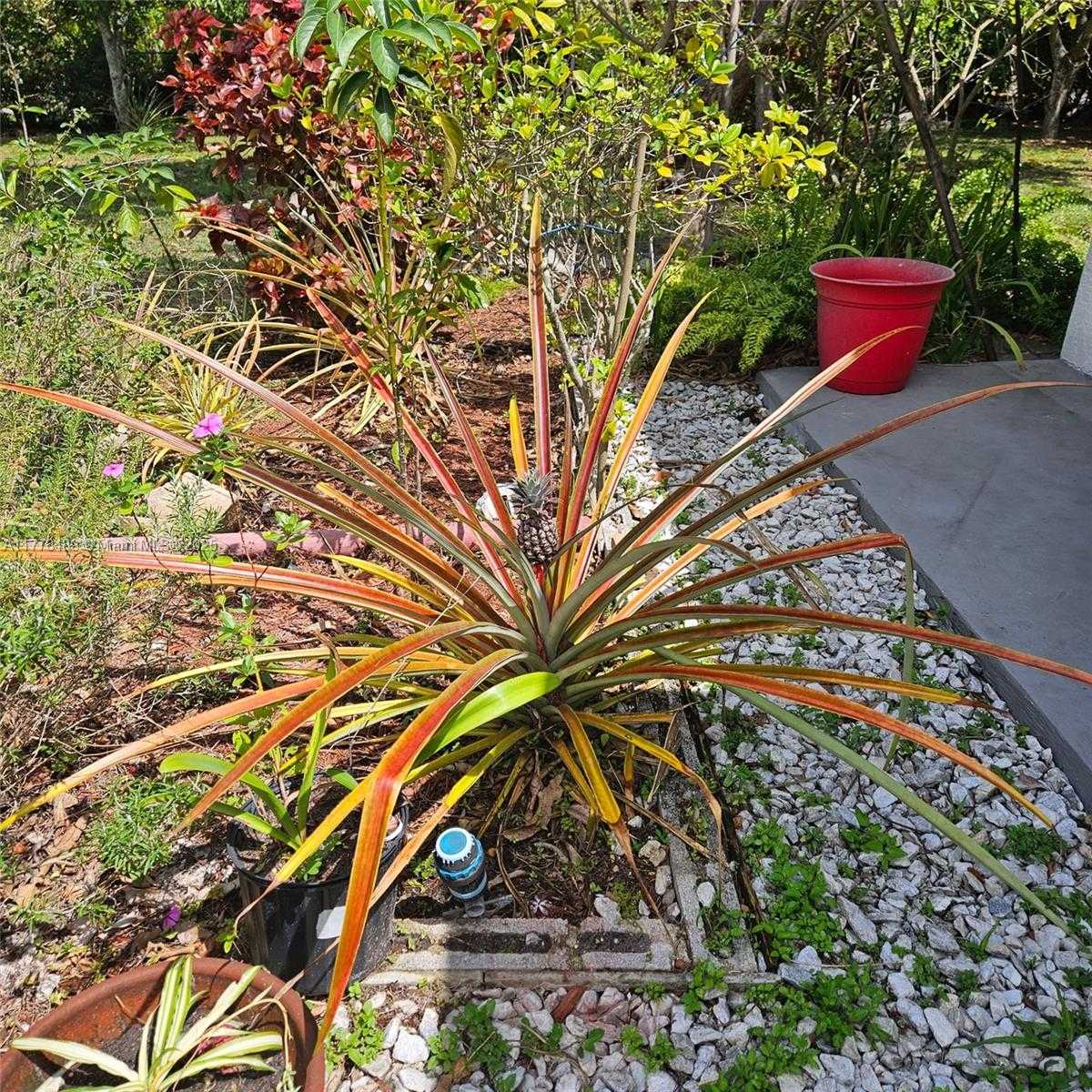 Small Image of 3950 SOUTH WEST 53RD AVE, Davie Number 49