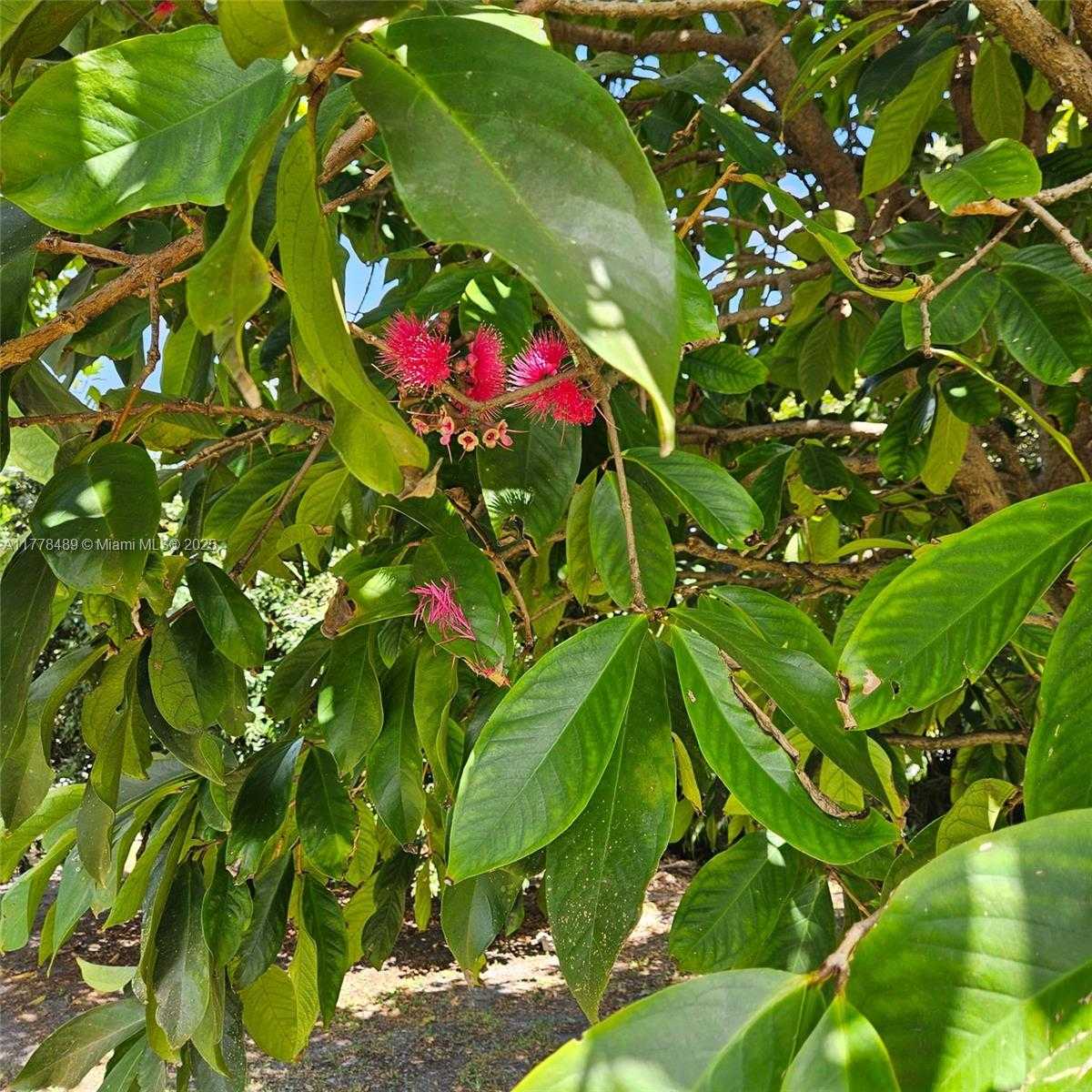 Small Image of 3950 SOUTH WEST 53RD AVE, Davie Number 50