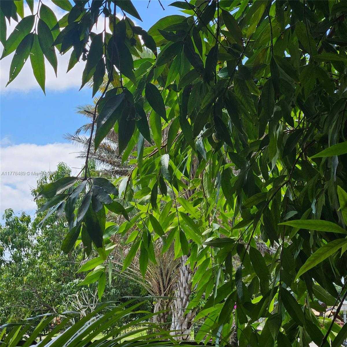Small Image of 3950 SOUTH WEST 53RD AVE, Davie Number 51
