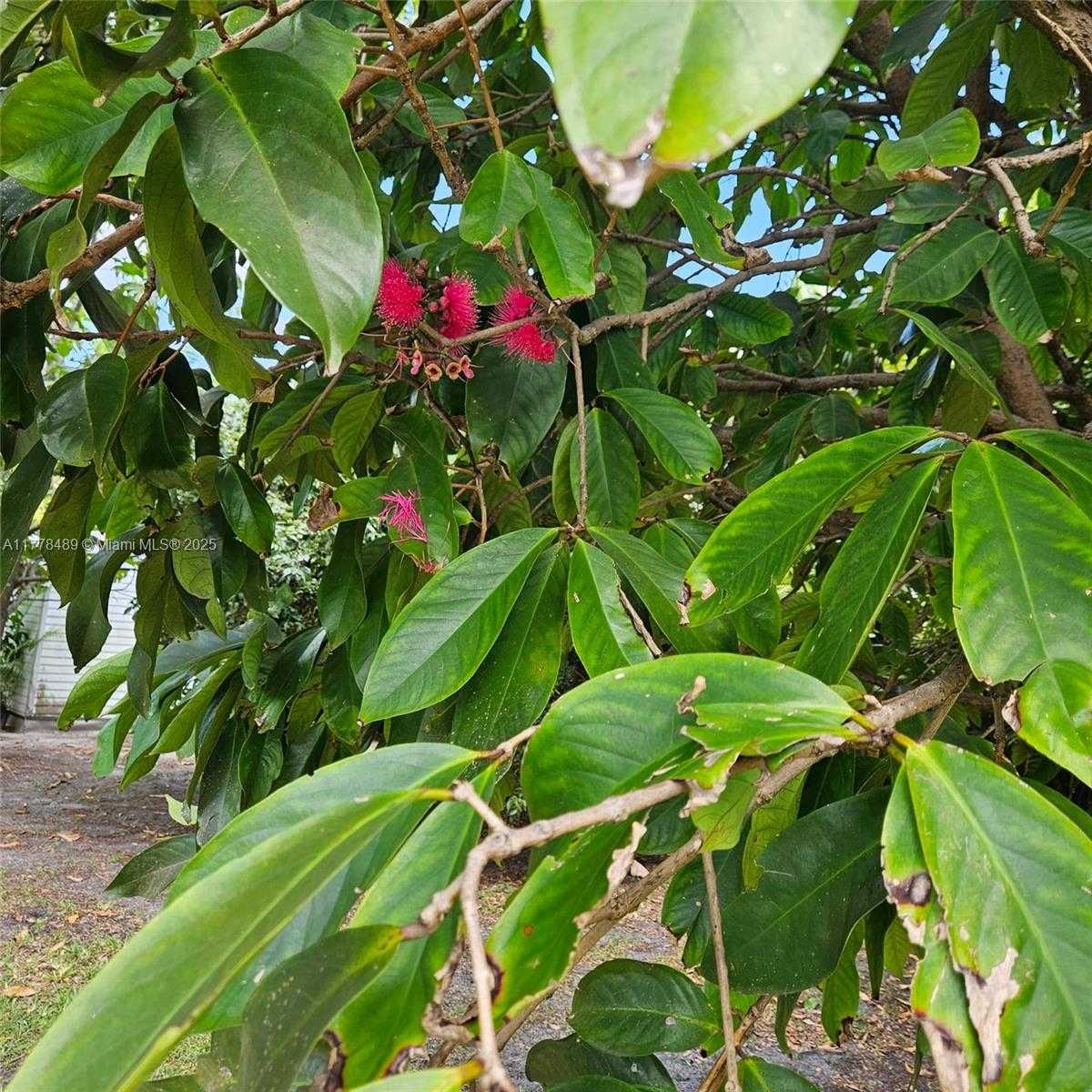 Small Image of 3950 SOUTH WEST 53RD AVE, Davie Number 53