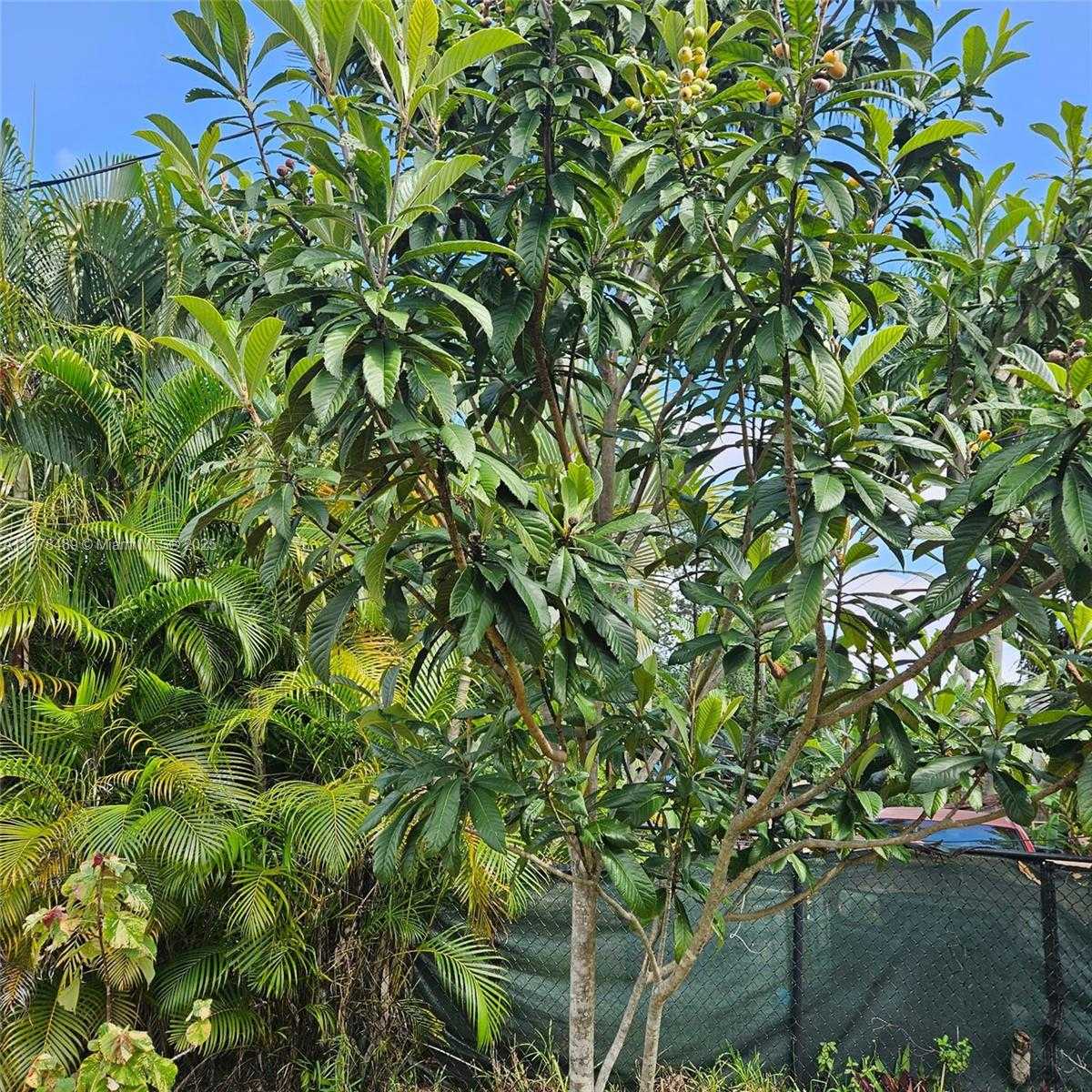 Small Image of 3950 SOUTH WEST 53RD AVE, Davie Number 54