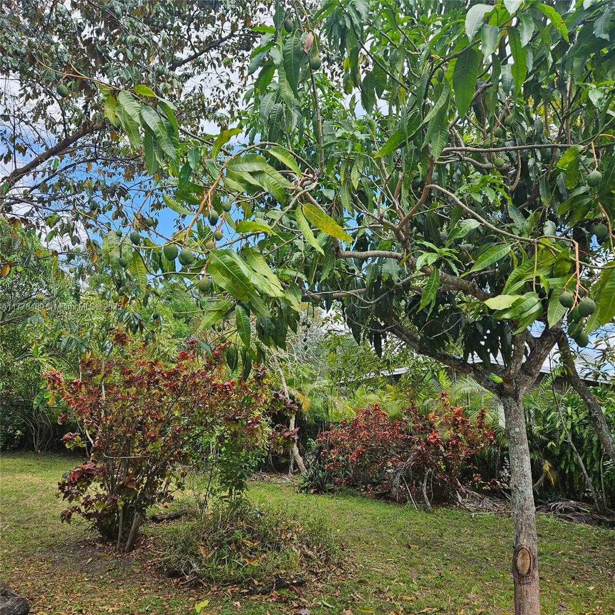 Small Image of 3950 SOUTH WEST 53RD AVE, Davie Number 56