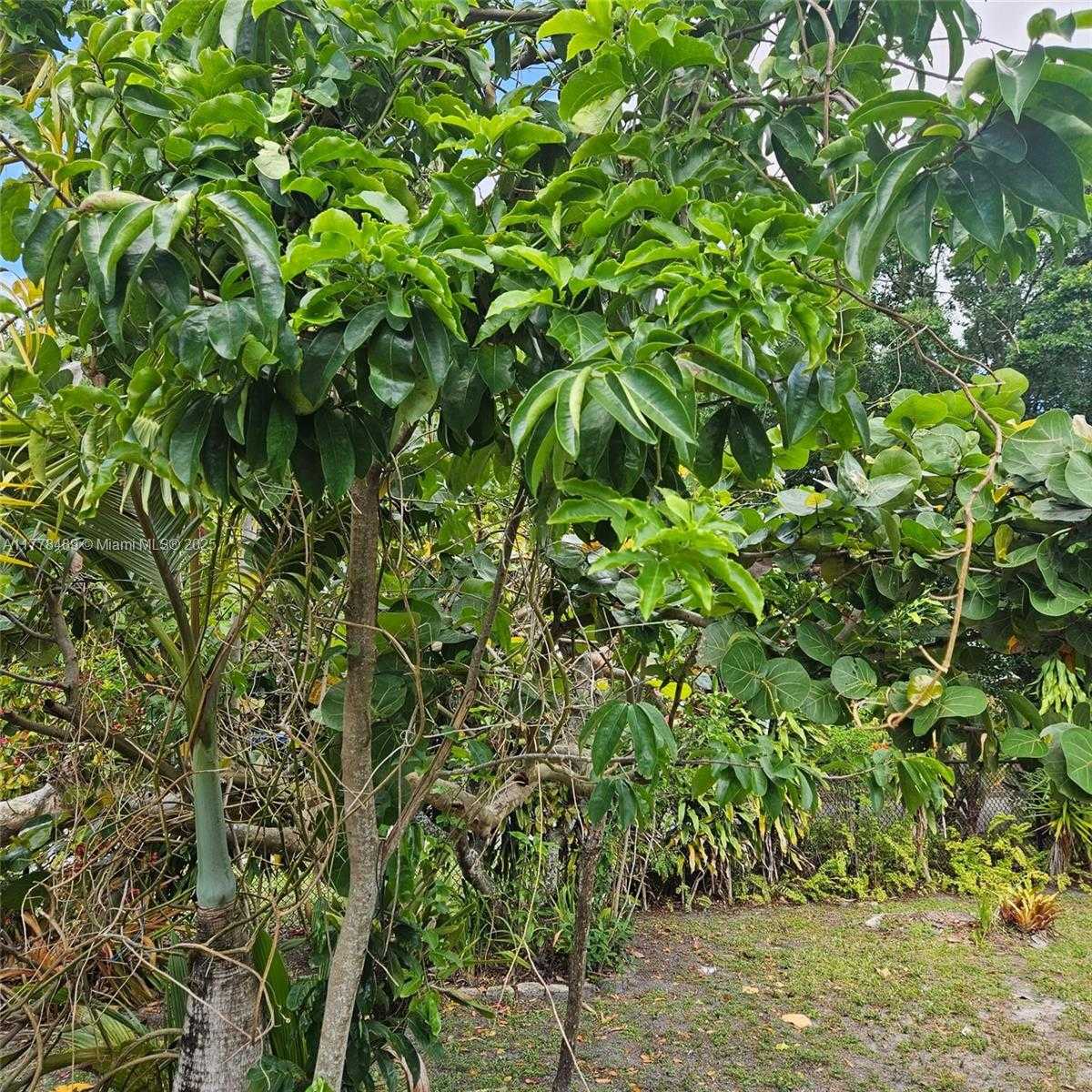 Small Image of 3950 SOUTH WEST 53RD AVE, Davie Number 60