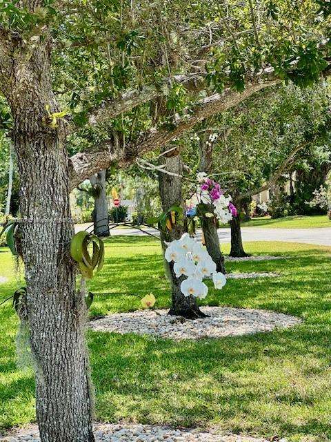 Small Image of 7841 SOUTH WEST 141ST ST, Palmetto Bay Number 38