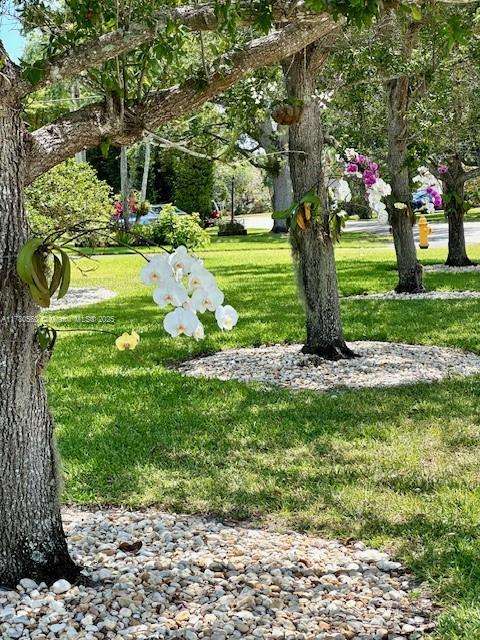 Small Image of 7841 SOUTH WEST 141ST ST, Palmetto Bay Number 39