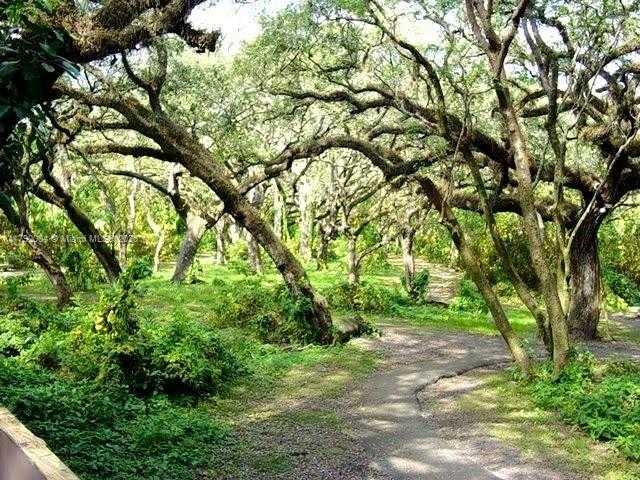 Small Image of 9271 ARBORWOOD CIR, Davie Number 34