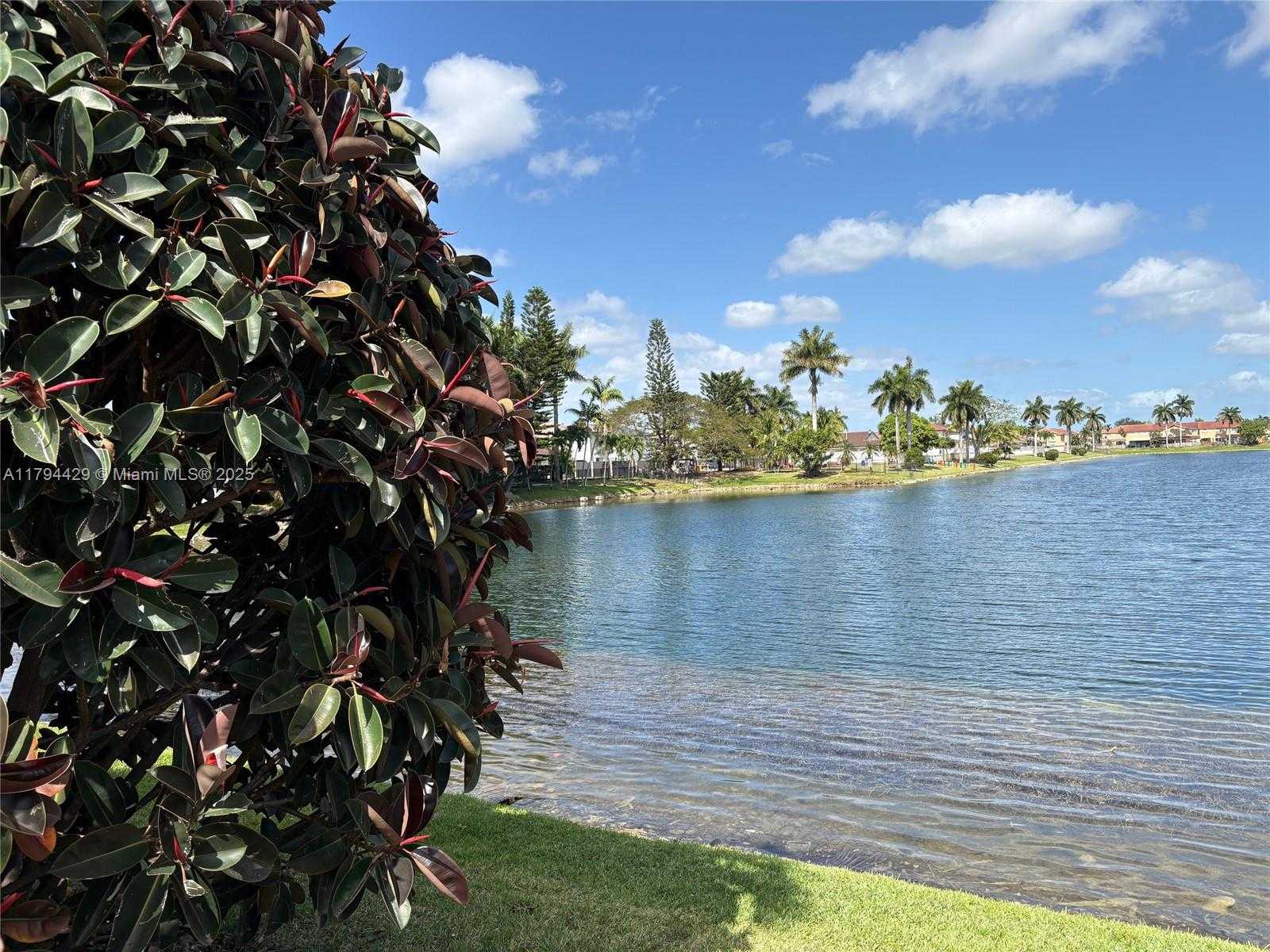 Small Image of Miami Number 33