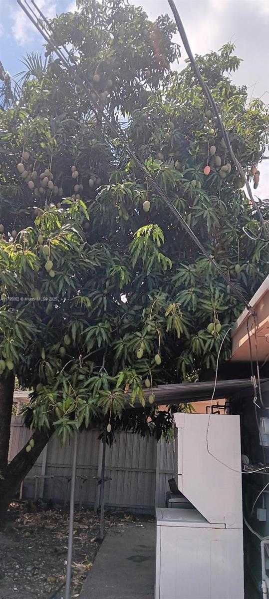 Small Image of 940 EAST 9TH PL, Hialeah Number 5