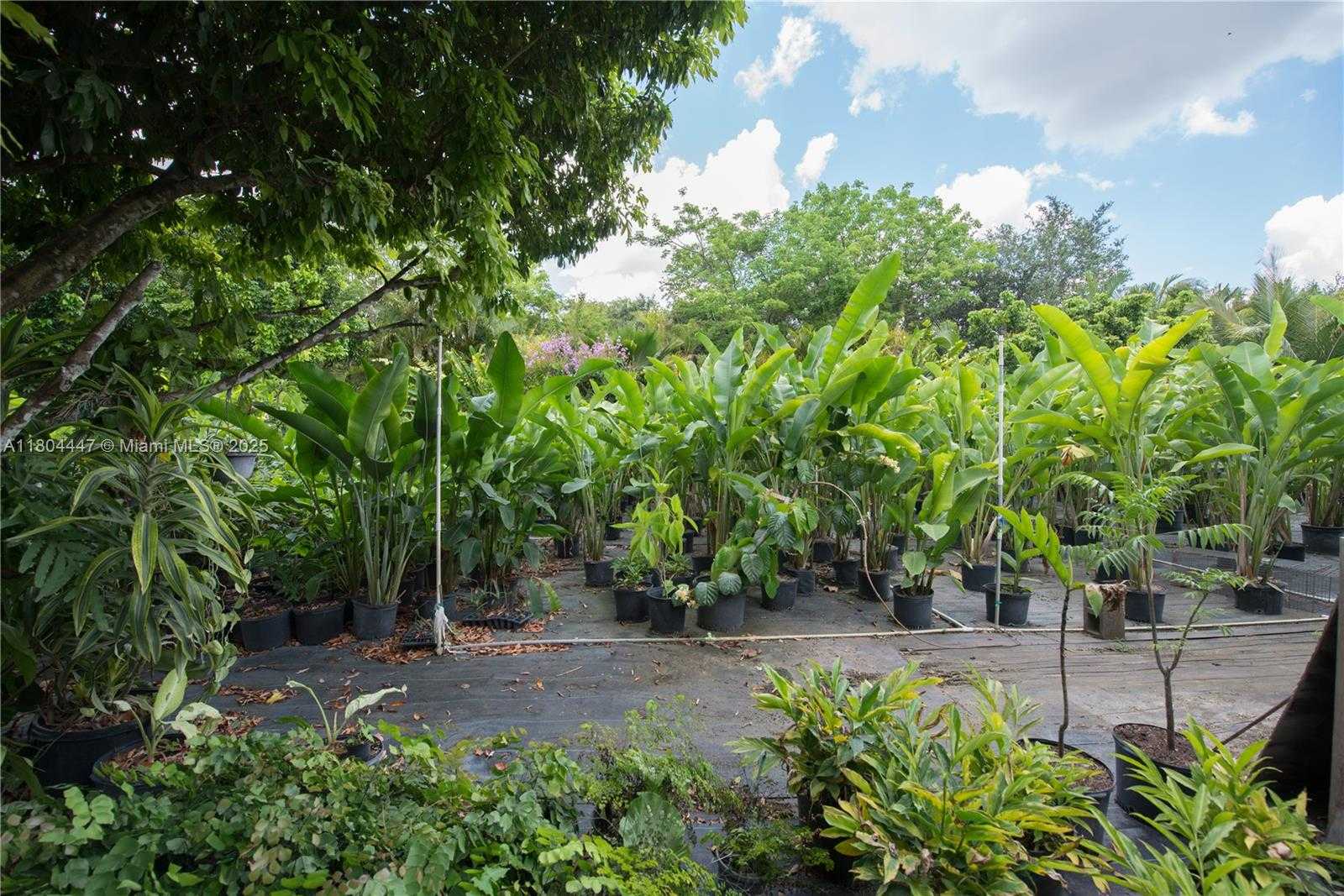 Small Image of 16970 SOUTH WEST 264TH ST, Homestead Number 46