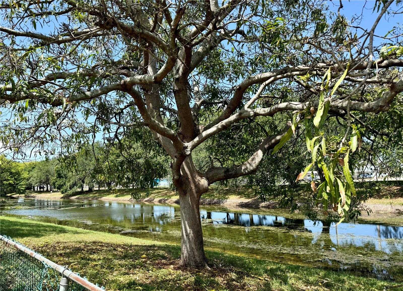 Small Image of 1311 SOUTH WEST 85TH AVE, Pembroke Pines Number 7