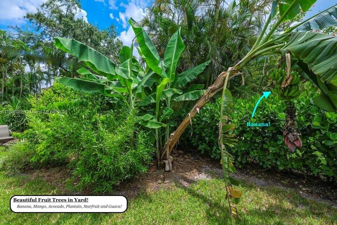 Small Image of 65 NORTH EAST 107TH ST, Miami Shores Number 29