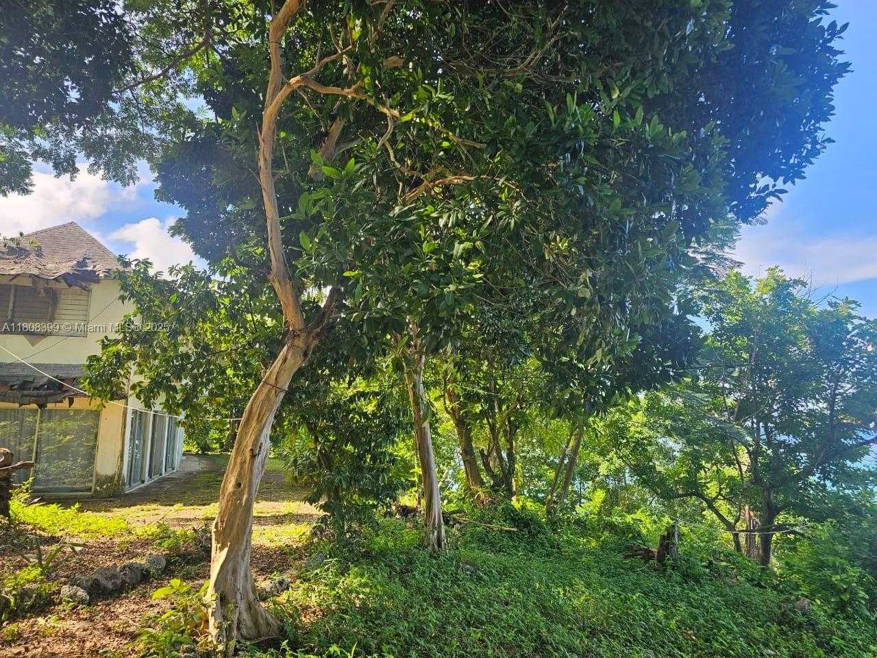 Small Image of ESTATE WITH COTTAGES  BOSCOBEL BEACH, ST MARY, J, Out of City Number 15