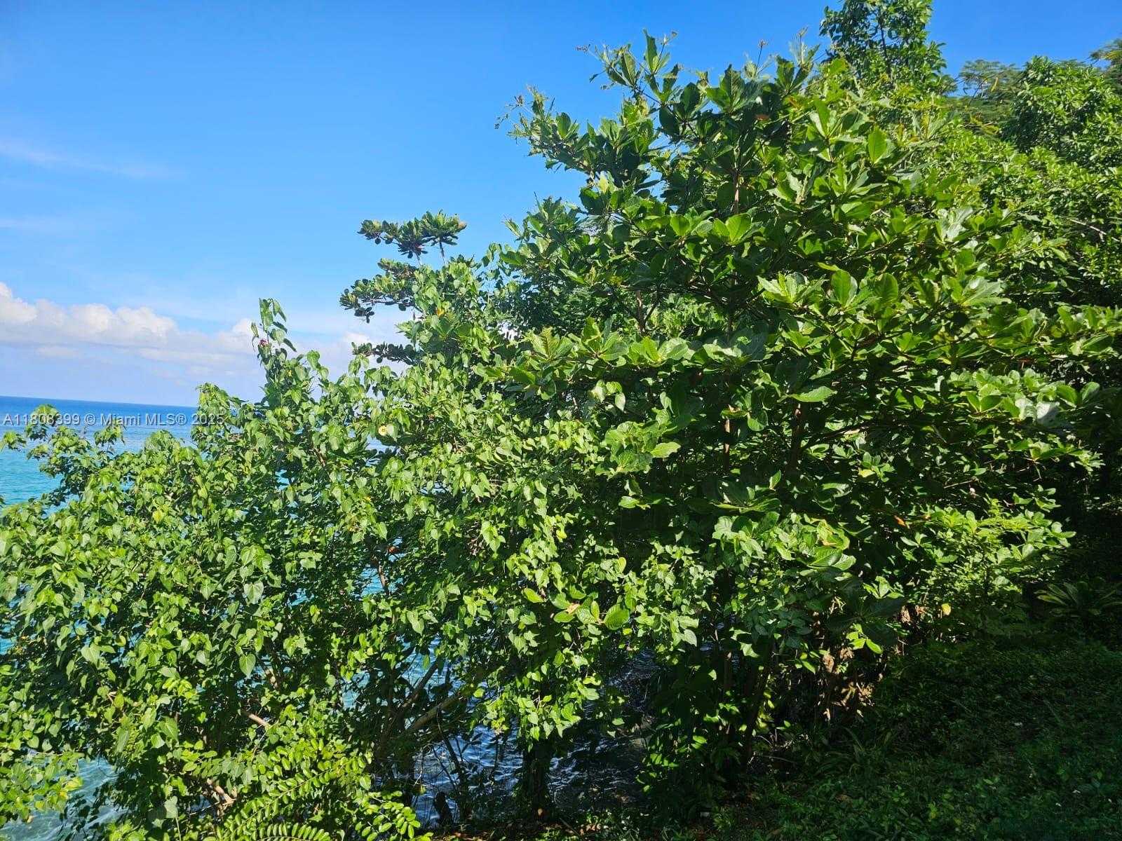 Small Image of ESTATE WITH COTTAGES  BOSCOBEL BEACH, ST MARY, J, Out of City Number 3