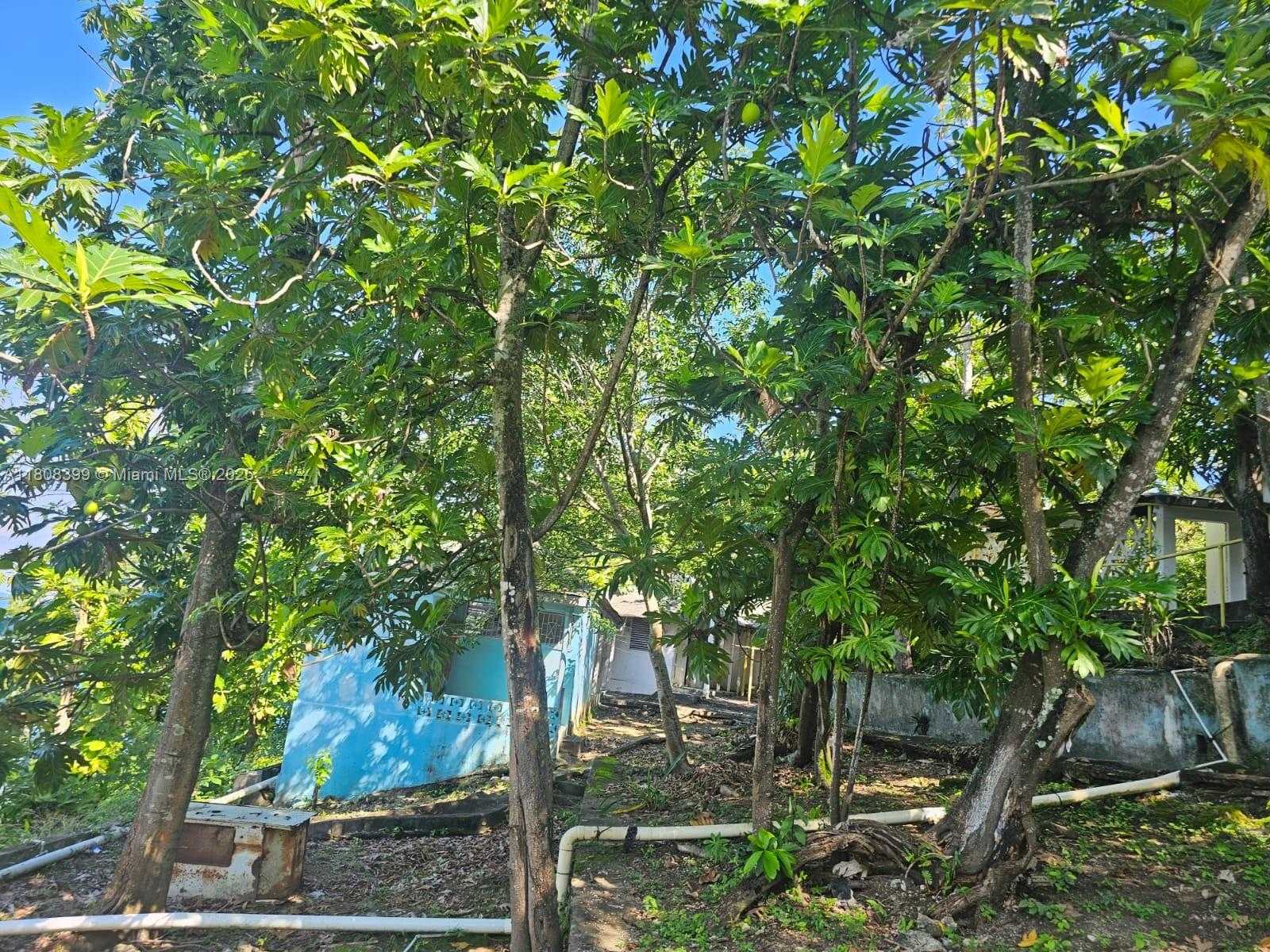 Small Image of ESTATE WITH COTTAGES  BOSCOBEL BEACH, ST MARY, J, Out of City Number 35