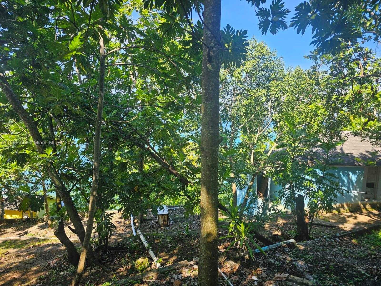 Small Image of ESTATE WITH COTTAGES  BOSCOBEL BEACH, ST MARY, J, Out of City Number 38