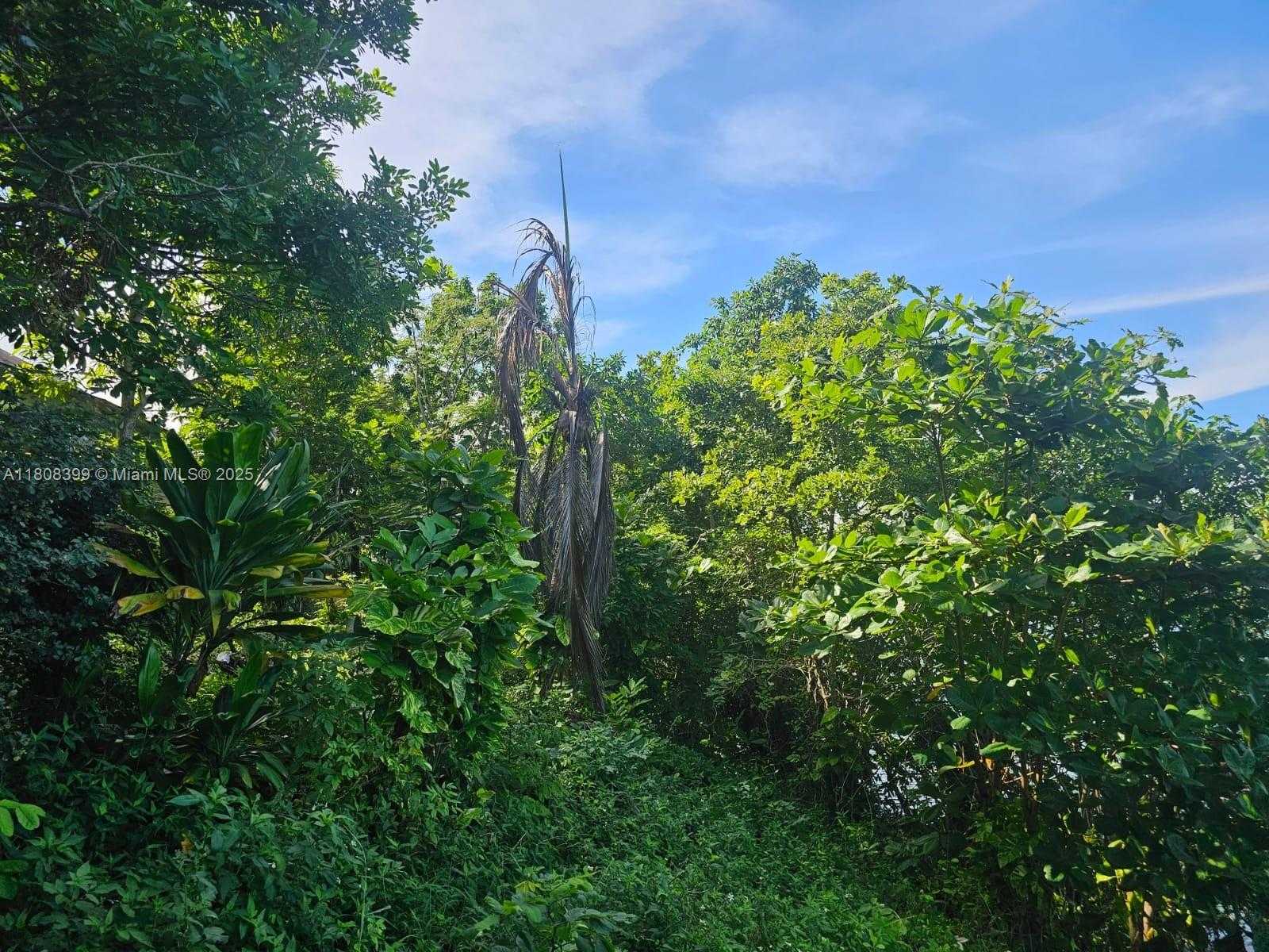 Small Image of ESTATE WITH COTTAGES  BOSCOBEL BEACH, ST MARY, J, Out of City Number 4