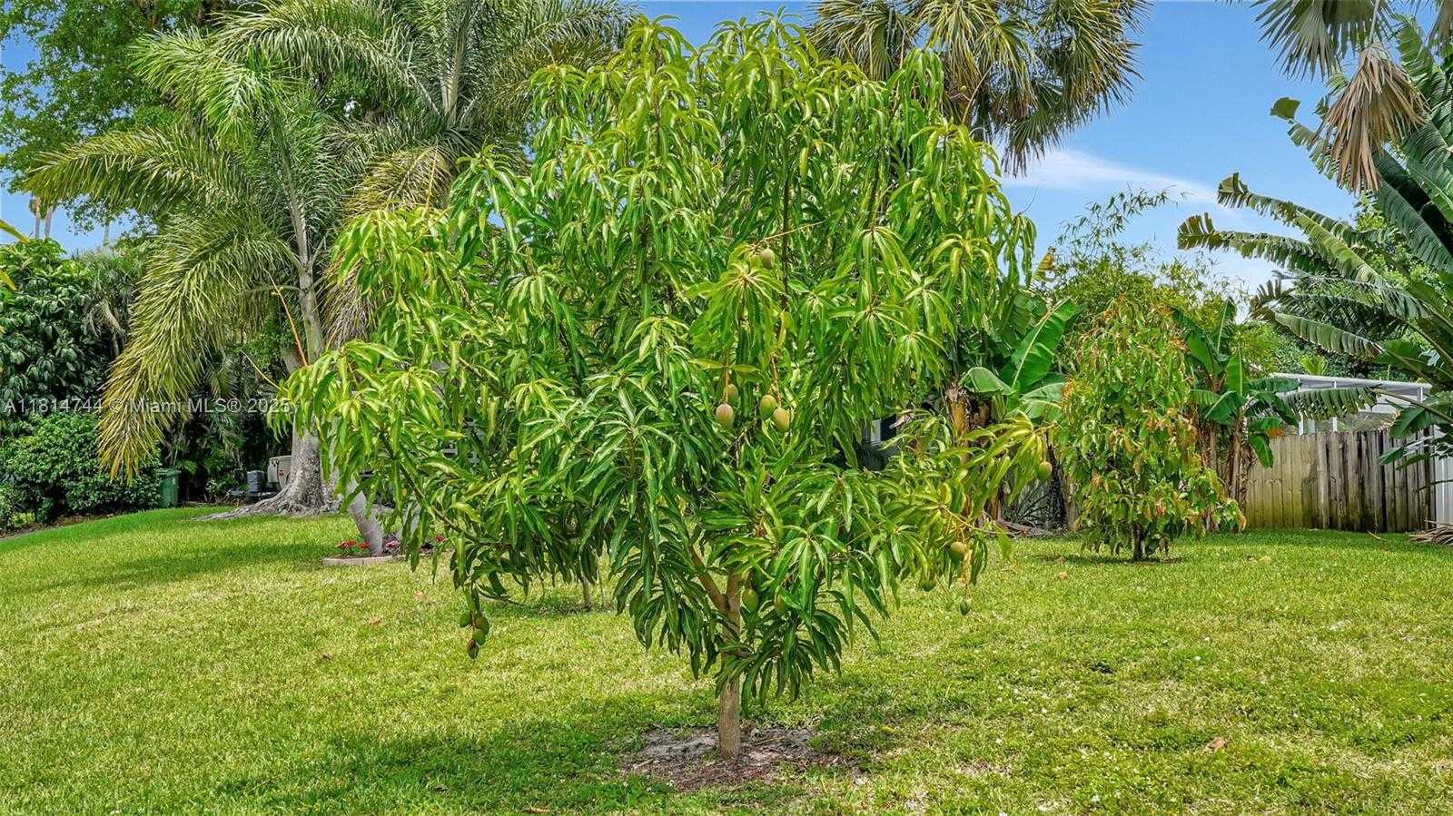Small Image of 2700 SOUTH WEST 34TH AVE, Fort Lauderdale Number 71