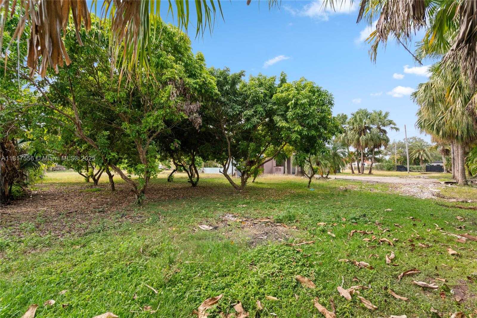 Small Image of Homestead Number 12