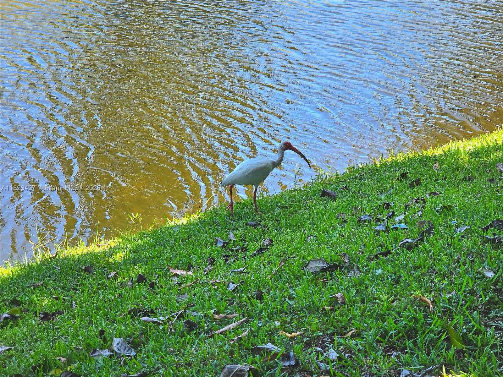 Small Image of 1711 SOUTH WEST 22ND ST, Boynton Beach Number 26