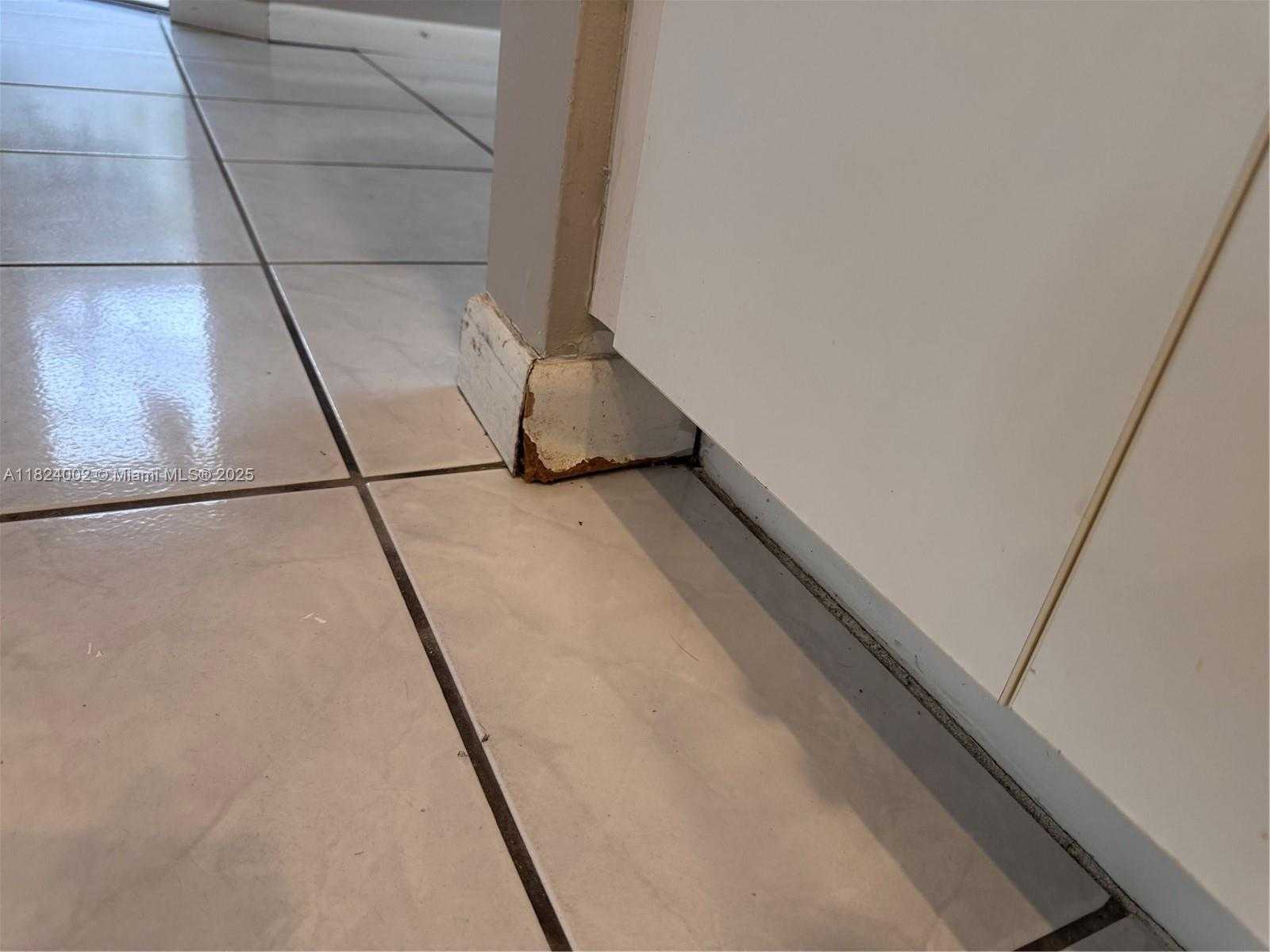 Small Image of 833 STANTON DR, Weston Number 31