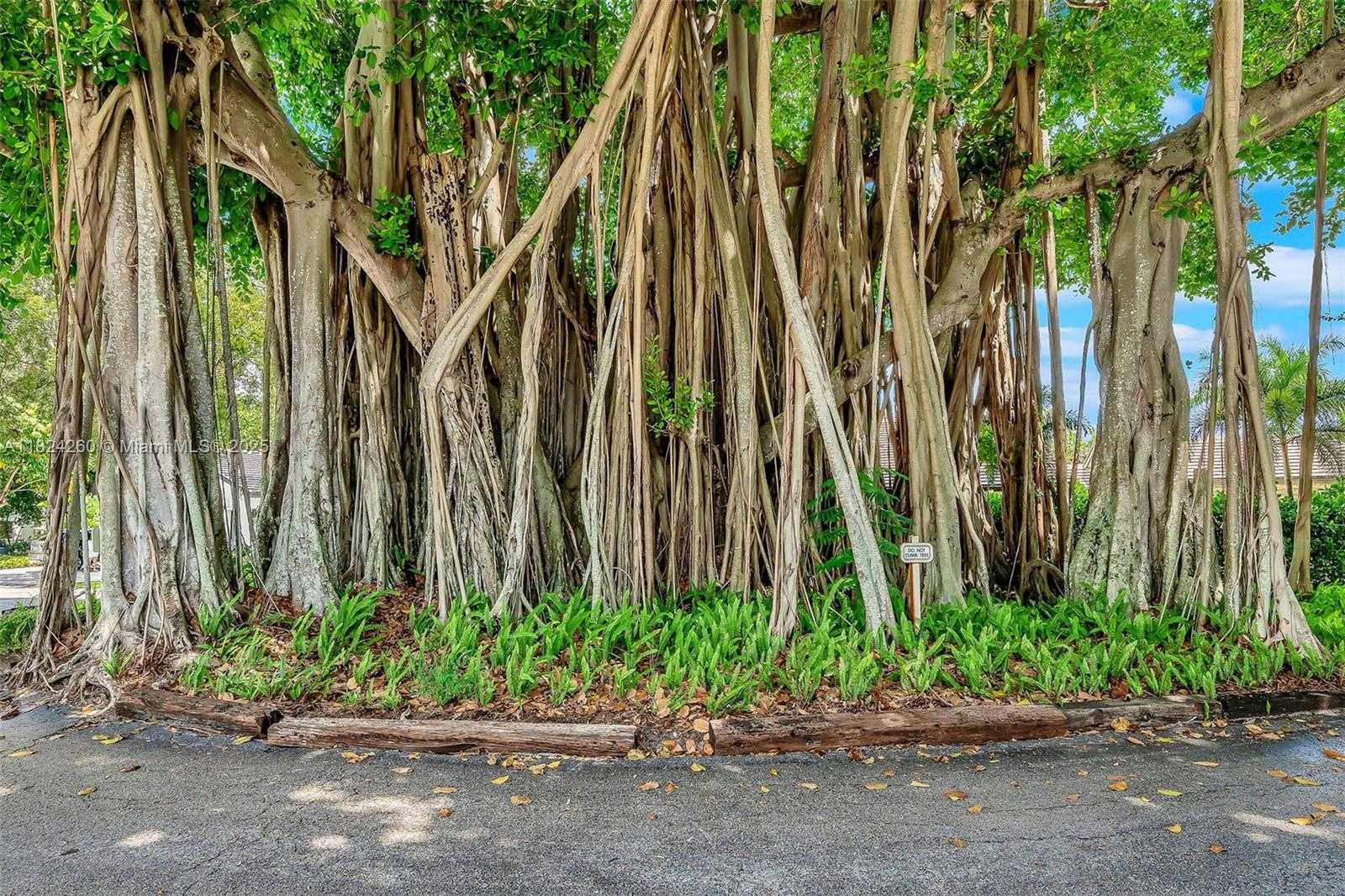 Small Image of 5811 SOUTH WEST 33 TER, Hollywood Number 94