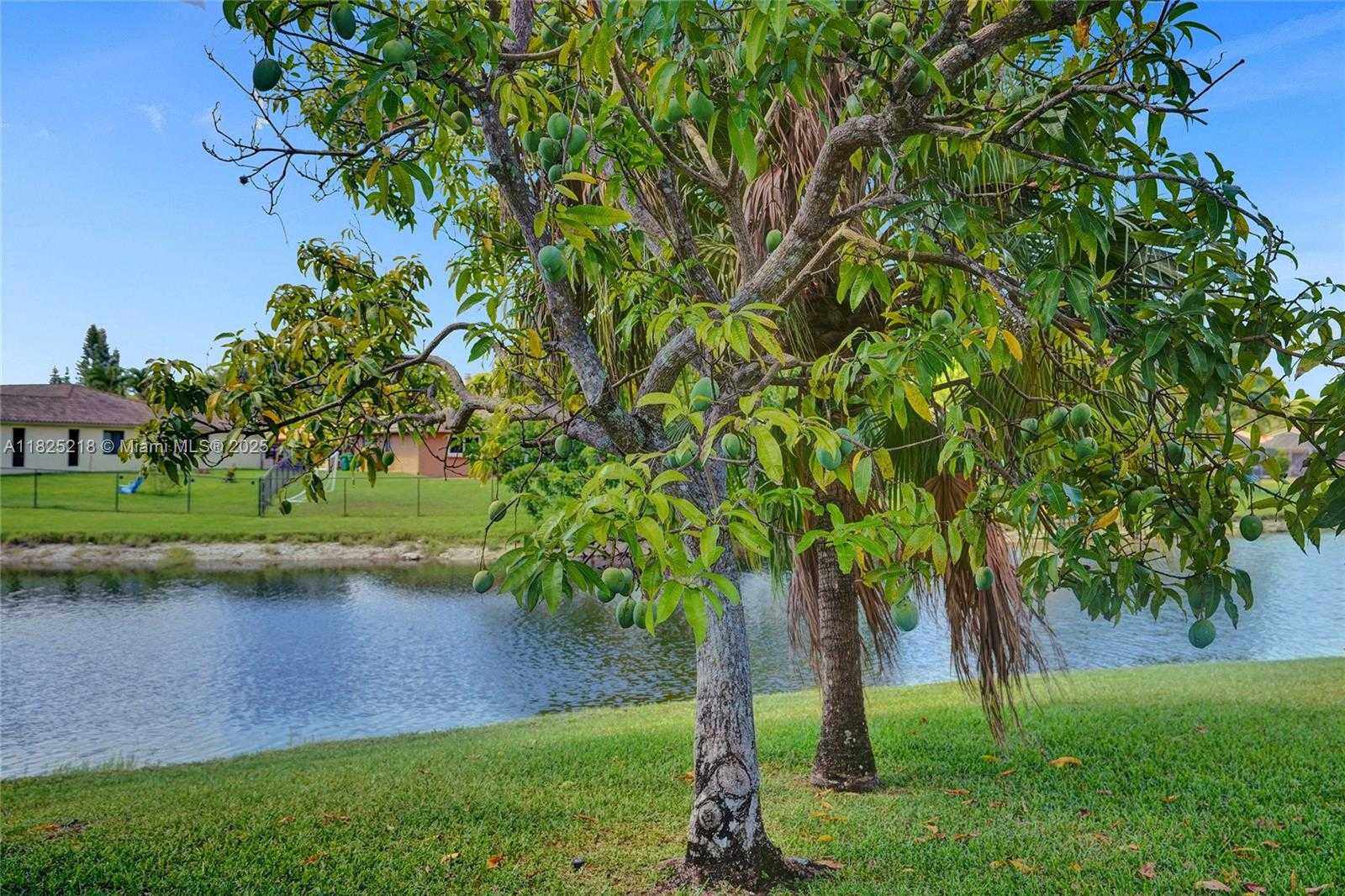 Small Image of 10967 NORTH WEST 12TH DR, Coral Springs Number 96