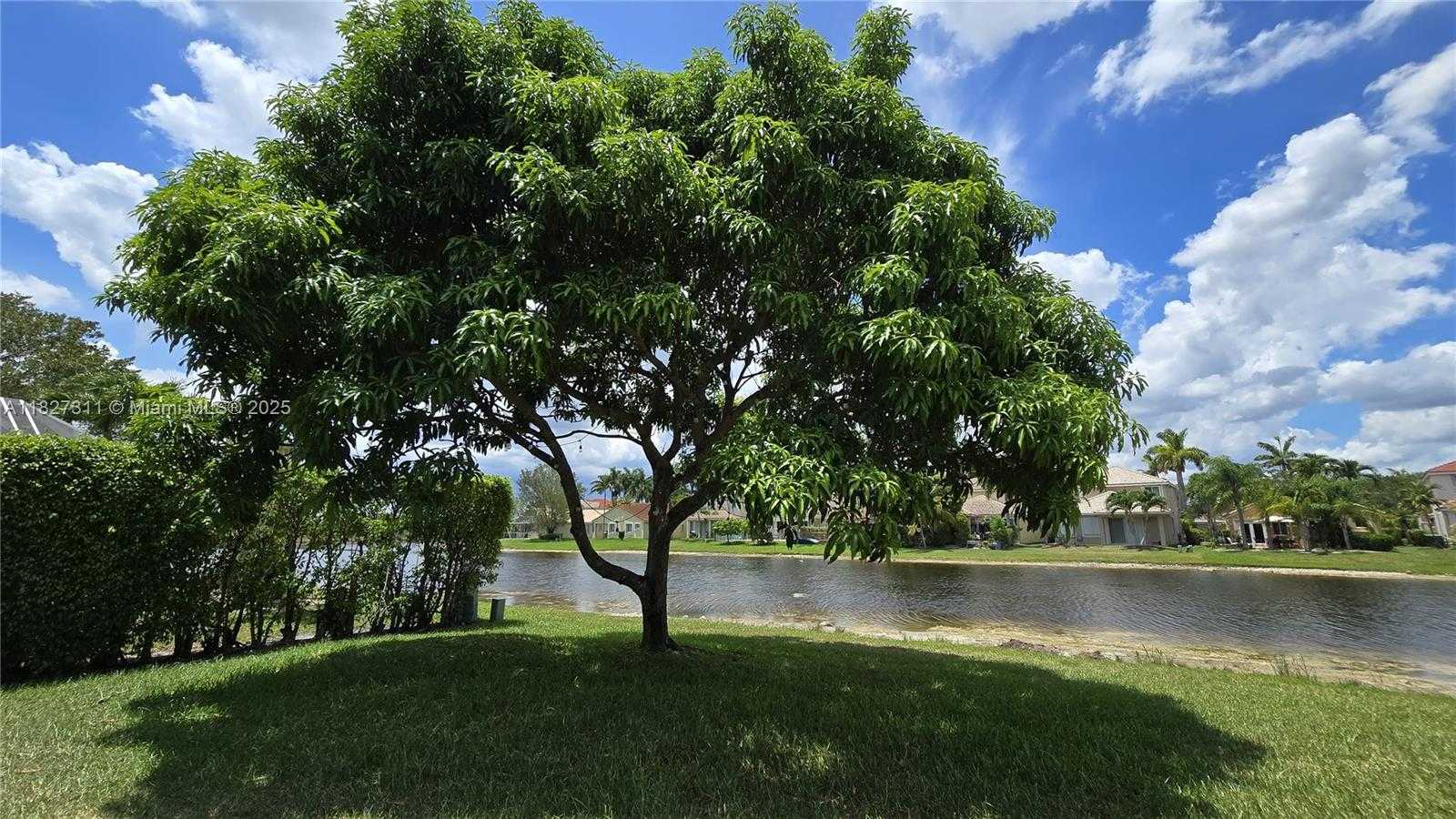 Small Image of 1425 CROSSBILL CT, Weston Number 64